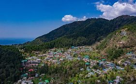 Alt Life - Dharamkot